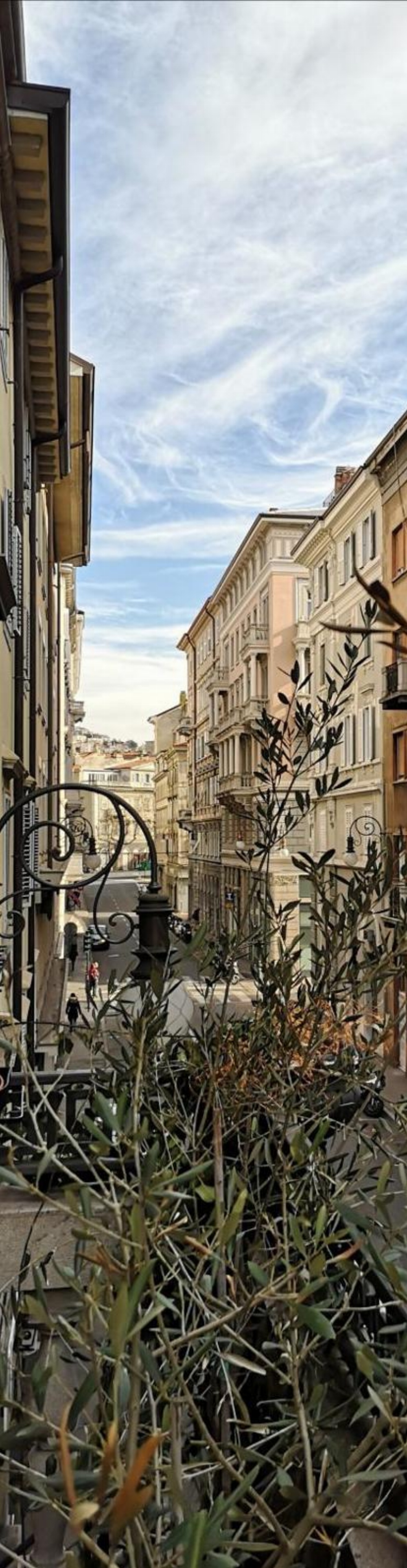 Forvm boutique Hotel Main image